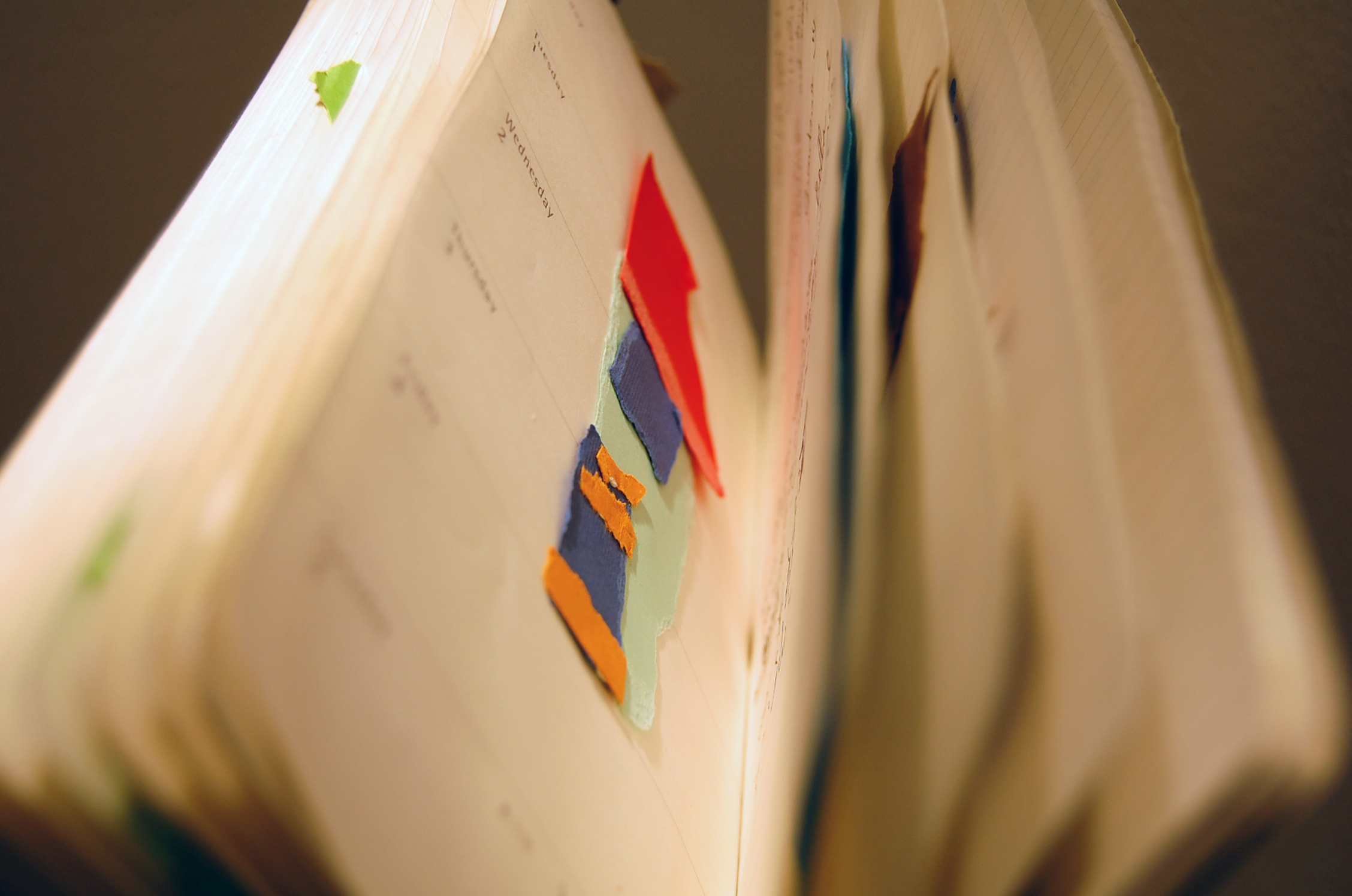 Una parola bellissima