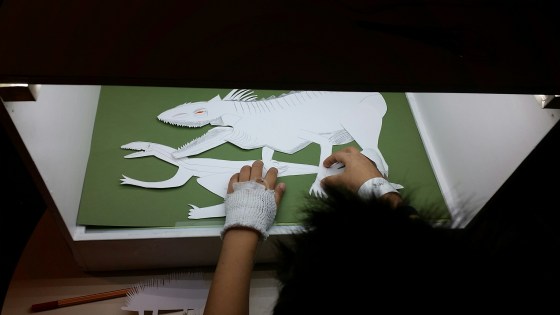 20151204_164719_resized